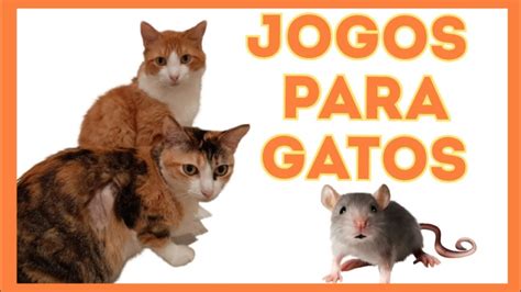 jogo pra gato,jogos de gatos de gratis